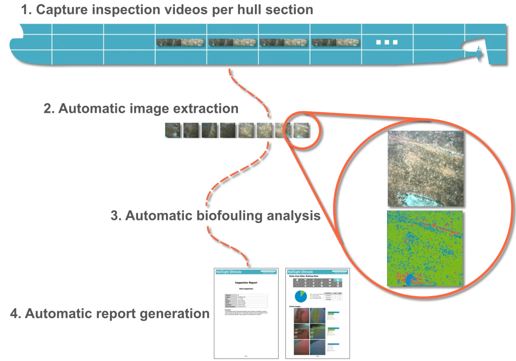 HullSight Ultimate process flow