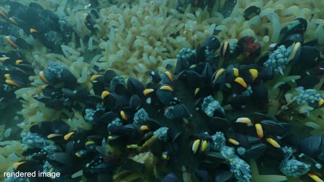 Synthetic underwater image