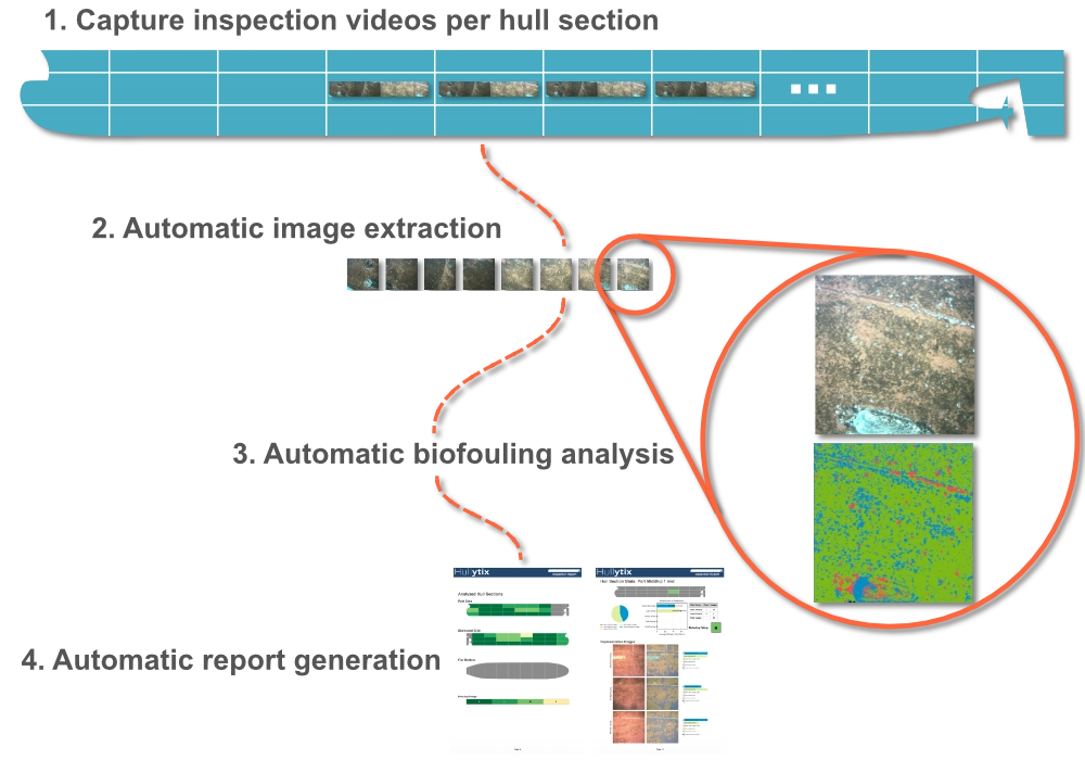 Hullytix automatic biofouling analysis